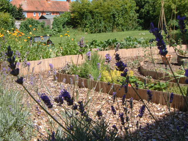 Garden  Summer 2007
